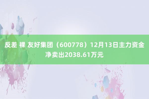 反差 裸 友好集团（600778）12月13日主力资金净卖出2038.61万元