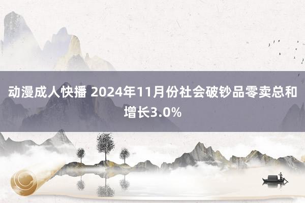 动漫成人快播 2024年11月份社会破钞品零卖总和增长3.0%