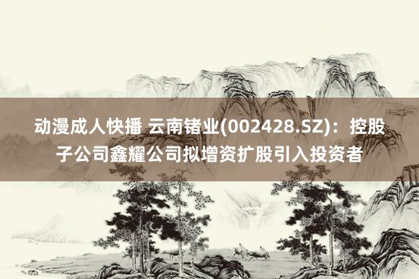 动漫成人快播 云南锗业(002428.SZ)：控股子公司鑫耀公司拟增资扩股引入投资者