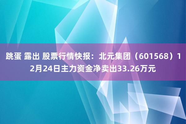 跳蛋 露出 股票行情快报：北元集团（601568）12月24日主力资金净卖出33.26万元