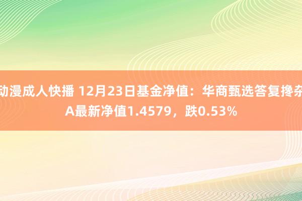 动漫成人快播 12月23日基金净值：华商甄选答复搀杂A最新净值1.4579，跌0.53%