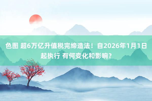 色图 超6万亿升值税完缔造法！自2026年1月1日起执行 有何变化和影响？