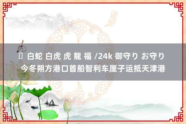 ✨白蛇 白虎 虎 龍 福 /24k 御守り お守り 今冬朔方港口首船智利车厘子运抵天津港