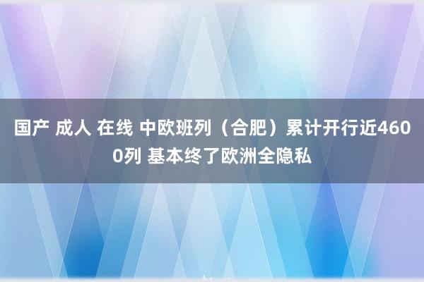 国产 成人 在线 中欧班列（合肥）累计开行近4600列 基本终了欧洲全隐私