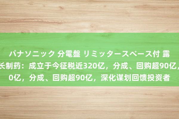 パナソニック 分電盤 リミッタースペース付 露出・半埋込両用形 步长制药：成立于今征税近320亿，分成、回购超90亿，深化谋划回馈投资者