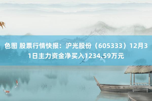 色图 股票行情快报：沪光股份（605333）12月31日主力资金净买入1234.59万元