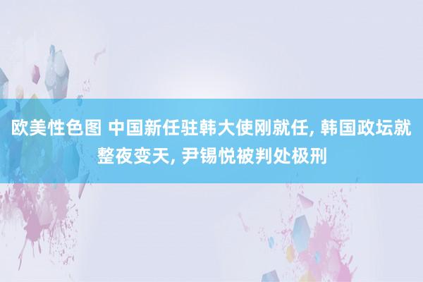 欧美性色图 中国新任驻韩大使刚就任， 韩国政坛就整夜变天， 尹锡悦被判处极刑