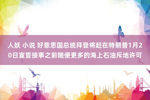 人妖 小说 好意思国总统拜登将赶在特朗普1月20日宣誓接事之前随便更多的海上石油斥地许可