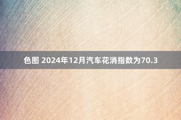 色图 2024年12月汽车花消指数为70.3