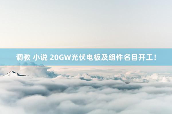 调教 小说 20GW光伏电板及组件名目开工！