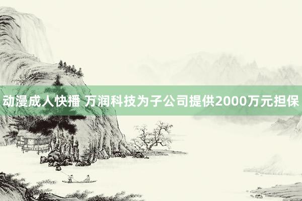 动漫成人快播 万润科技为子公司提供2000万元担保