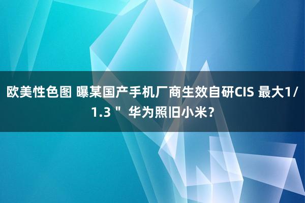 欧美性色图 曝某国产手机厂商生效自研CIS 最大1/1.3＂ 华为照旧小米？