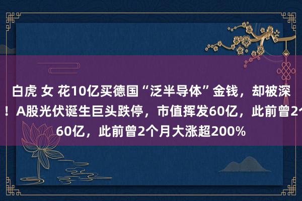 白虎 女 花10亿买德国“泛半导体”金钱，却被深交所“暂缓审议”！A股光伏诞生巨头跌停，市值挥发60亿，此前曾2个月大涨超200%