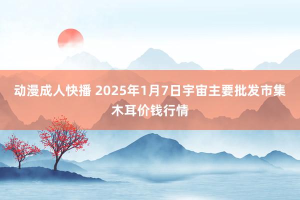 动漫成人快播 2025年1月7日宇宙主要批发市集木耳价钱行情