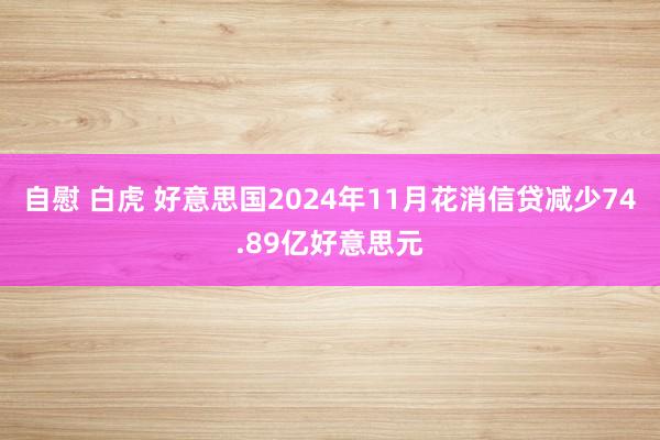 自慰 白虎 好意思国2024年11月花消信贷减少74.89亿好意思元