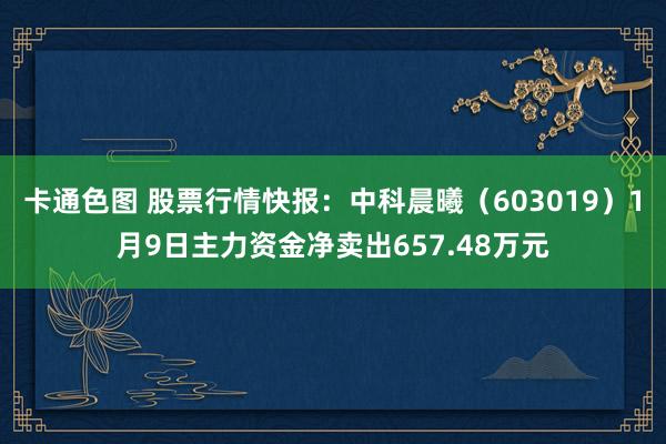 卡通色图 股票行情快报：中科晨曦（603019）1月9日主力资金净卖出657.48万元