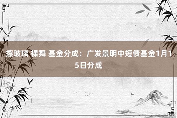 擦玻璃 裸舞 基金分成：广发景明中短债基金1月15日分成