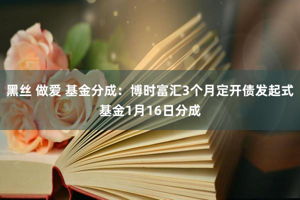 黑丝 做爱 基金分成：博时富汇3个月定开债发起式基金1月16日分成