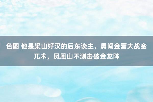 色图 他是梁山好汉的后东谈主，勇闯金营大战金兀术，凤凰山不测击破金龙阵