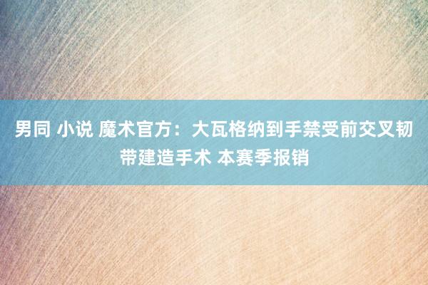 男同 小说 魔术官方：大瓦格纳到手禁受前交叉韧带建造手术 本赛季报销