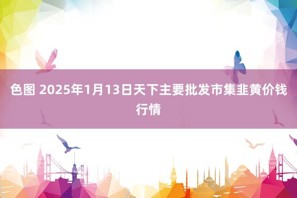 色图 2025年1月13日天下主要批发市集韭黄价钱行情