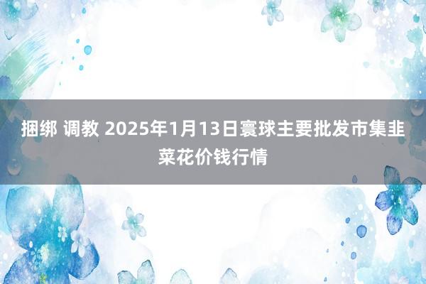 捆绑 调教 2025年1月13日寰球主要批发市集韭菜花价钱行情