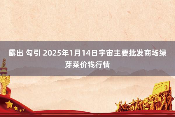 露出 勾引 2025年1月14日宇宙主要批发商场绿芽菜价钱行情