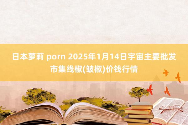 日本萝莉 porn 2025年1月14日宇宙主要批发市集线椒(皱椒)价钱行情