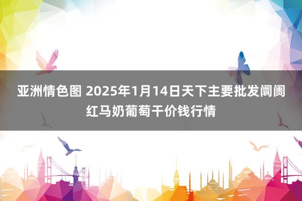 亚洲情色图 2025年1月14日天下主要批发阛阓红马奶葡萄干价钱行情