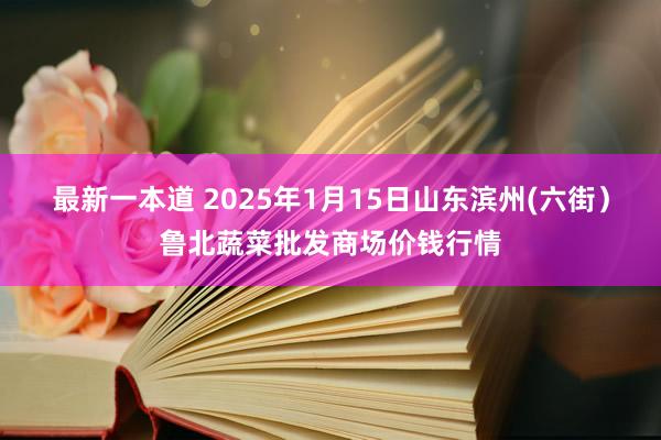 最新一本道 2025年1月15日山东滨州(六街）鲁北蔬菜批发商场价钱行情